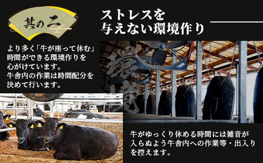 佐賀牛 切り落とし 1kg (500g × 2P) 牛肉 黒毛和牛 C-94