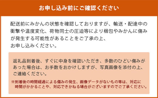 【先行予約】（2026年11月上旬～発送）”わーがと”鹿島産がばい訳アリみかん 約6kg【サイズ別】【期日指定不可】国産 佐賀県産 ミカン 蜜柑 果物 フルーツ AA-39