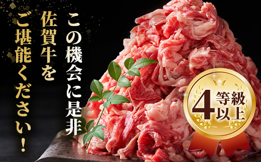 佐賀牛 切り落とし 500g×2【合計1kg】牛肉 肉 佐賀牛 切り落し 切落し 切りおとし D-186