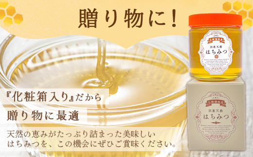 鹿島市産 天然の恵み 100% はちみつ 600g 化粧箱入 B-806 ハチミツ 蜂蜜 ハニー 天然はちみつ 天然蜂蜜 国産