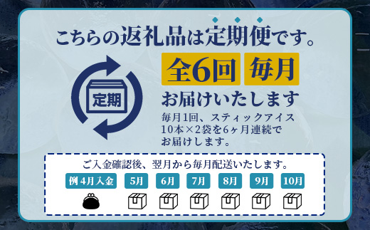 定期便 (6回定期便) さがん氷 かちわり氷 スティックアイス 10本×2セット 合計120本 G-70 藤津製氷 こおり 氷 ロック アイス 佐賀 鹿島 九州