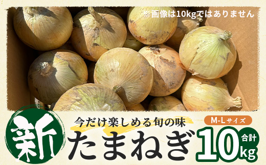 甘～い！新鮮！新たまねぎ 約10kg (MLサイズ）生産者直送！★大自然育ち【2026年4月より順次発送】タマネギ 玉葱 新タマ 新玉ねぎ サラダ 惣菜 お料理 ストック 箱買 美味しい 甘い 常備野菜 佐賀県 鹿島市産 人気 送料無料 B-737