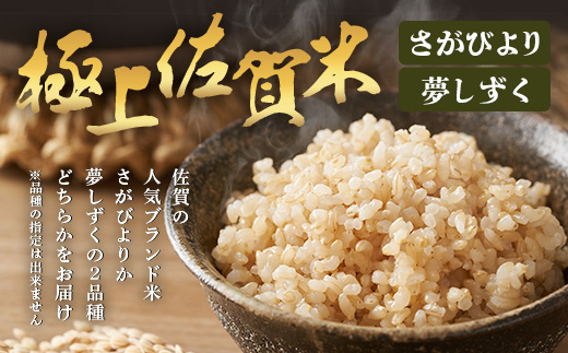 令和7年産 鹿島市産 [さがびよりor夢しずく] 5kg 1袋 【品種指定不可】 玄米 精米 10月初旬から発送開始予定　C-154