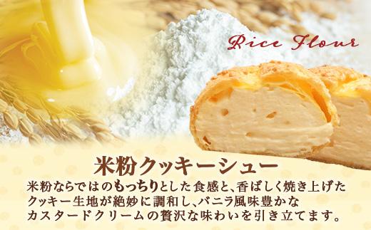 B-480　米粉のクッキーシューと米粉のチョコクッキーシュー10個詰め合わせ