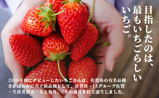 いちごさん 240g×4P★先行予約★【生産者直送】ふるさと納税 いちご イチゴ 苺 果物 フルーツ 旬 贈答用 お取り寄せ ギフト ふるさと 人気 佐賀県 鹿島市 送料無料 【2026年2月頃～4月頃の発送予定】B-891