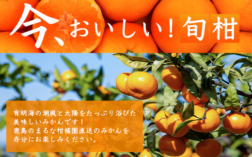 鹿島市産　まるな柑橘園の温州みかん　毎週１回　月４回定期便　F-62
