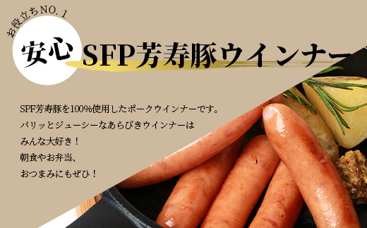 ハンバーグ ウインナー スパイス のお役立ち セット 芳寿豚 SPF豚 国産 佐賀県 鹿島市 B-401