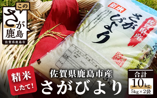 B-167 【精米したて！】令和６年産 さがびより １０kg（5kg×2袋）