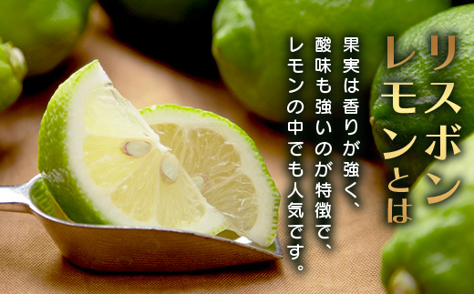 B-367 リスボンレモン【約5kg】メディアも注目の柑橘類の名人直送！レモン れもん 檸檬 果物 生搾り 料理 菓子 サワー お酒 国産 佐賀県鹿島市産 人気 