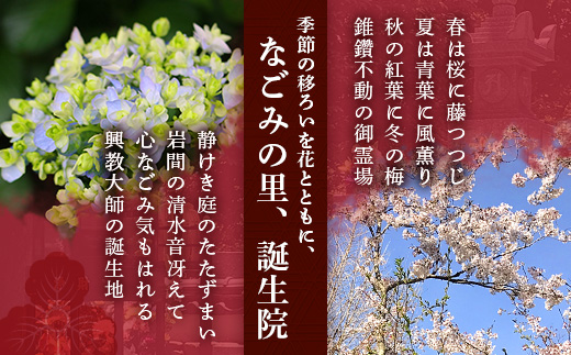 樹木葬永代供養墓「密厳」　佐賀県 鹿島市 鹿島 誕生院 お寺 寺院 樹木葬 永代供養 宗教 宗派 檀家 墓じまい 管理費不要　V-61