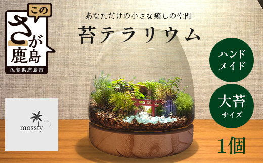 J-33　苔テラリウム　手入れ簡単 癒やしのインテリア 卓上サイズ 誕生日 プレゼント雑貨 敬老の日 贈り物 観葉植物 初心者 鹿島市産 / mossty