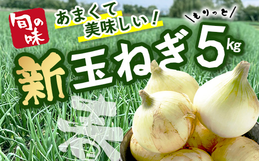 【予約受付】鹿島市産 新玉ねぎ 合計5kg A-207 たまねぎ 玉葱 サラダ 料理【2026年4月中旬より順次発送】
