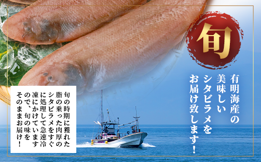 【下処理済で簡単調理】有明海産 シタビラメ約150g×4尾【合計約600g】煮つけ・唐揚げにおススメ【脂ののって美味しい】鮮度抜群 B-568