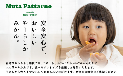 ãå
è¡äºçŽããçºéã¯2026幎10æäžæ¬ãã11æäžæ¬ãããããŒãããã¿ããâãã¬ãã¢ã âçŽ2kgïŒç®±èŸŒã¿ééïŒïœãæ°ééå®ãå°ç²ãµã€ãº ãå®¶åºçšïœäžå£ã§é£ã¹ãããæ¿çž®æšã¿ ïœçç£è
çŽé åœç£ äœè³çç£ ãã«ã³ èæ æç© ãã«ãŒã éæç¡æ A-224