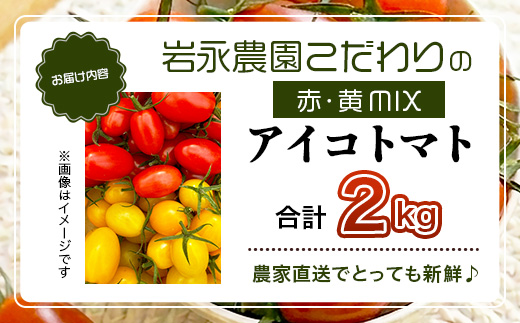 岩氞ããã¡ã® ã«ã©ãã« ããããã | ã¢ã€ã³èµ€ïœ¥é»MIX 2kg |ãèŸ²ææ°Žç£å€§è£è³åè³ãææ©è¥æã»ååŠè¥æäžäœ¿çš | çç£è
çŽé éè ããã 2kg ãšãŸãš ããããã ãµã©ã ããã æ¬ æ°é®® ãã〠ãåŒåœ äººæ° éæç¡æ äœè³ç é¹¿å³¶åž C-186