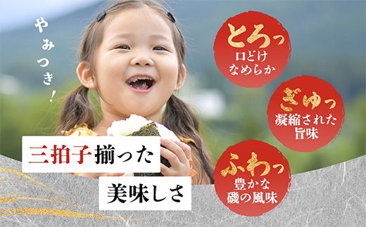 B-404＼有明干潟育ちの極上海苔／ 焼のり 全形30枚分（2切5枚×4袋×3個）｜有明海産 一番摘み海苔 使用｜不知火海苔 佐賀県鹿島市 国産 のり ノリ 海産物 送料無料