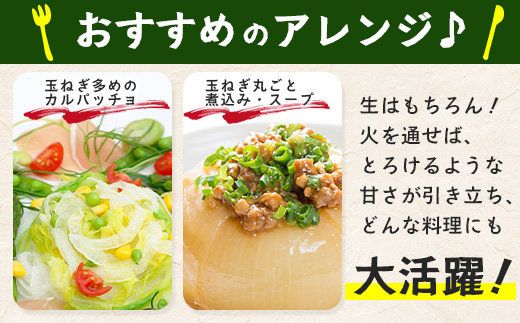 【予約受付】鹿島市産 新玉ねぎ 合計5kg A-207 たまねぎ 玉葱 サラダ 料理【2026年4月中旬より順次発送】