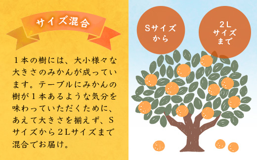 鹿島市産　まるな柑橘園の温州みかん　毎週１回　月４回定期便　F-62