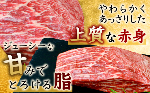 佐賀牛 赤身 モモ ブロック 500g ローストビーフ 佐賀県産 もも モモブロック C-102