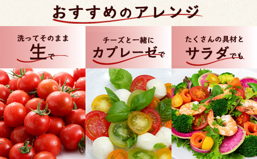 【4回定期便】【先行受付】2027年1月より順次発送予定【少量パック】完熟ミニトマト 360g (120gx3p) プチトマト 野菜 農家直送 佐賀県鹿島市 たにぐちファームRicotomato～とりこになるトマト～E-160