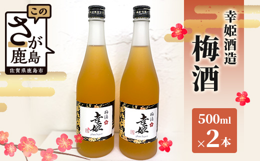 B-578　幸姫酒造 梅酒 500ml 2本