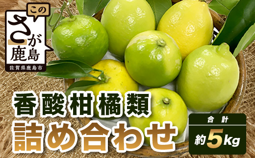 B-366 香酸柑橘類セット （リスボンレモン・キノス・げんこう・ライム）【約5kg 】メディアも注目の柑橘類の名人直送！かんきつ 柑橘 檸檬 れもん レモン 木酢 げんこう 薬味風味付け 国産 九州産 鹿島市産 佐賀県 鹿島市  B-366