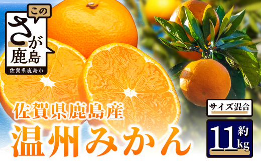 みかん 約11kg 佐賀県鹿島産 温州みかん サイズ混合 | 《先行受付11月上旬より発送予定》みかん ミカン 甘い 小玉含む フルーツ 果物 果実 くだもの 蜜柑 柑橘 国産 冬季 大容量 家庭用 贈答 お取り寄せ 佐賀県 鹿島市 B-99