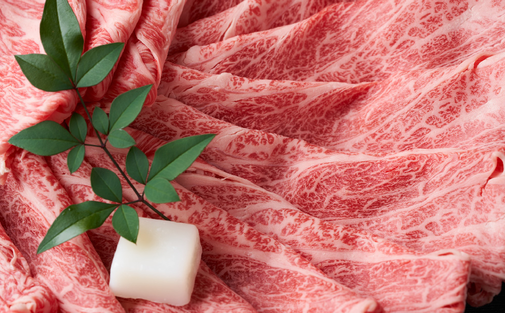 【3か月定期便】【厳選部位】【A4〜A5】佐賀牛サーロインしゃぶしゃぶすき焼き用 1kg(500g×2P)×3回【肉 牛肉 ブランド牛 黒毛和牛 お祝い ご褒美 ふるさと納税】(H112208)