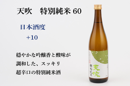 TheSAGA認定酒 特別純米酒おまかせ2本セット 【佐賀県産 佐賀認定酒 店主 こだわり ギフト 贈答 プレゼント】(H072190)