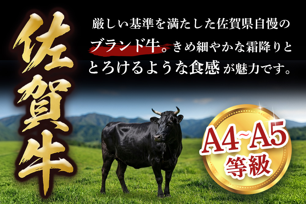 【スピード発送】佐賀牛 サーロインステーキ 250g×2枚【黒毛和牛 牛肉 最高級 冷凍 ギフト 贈答 丸宗ミート 神埼市】(H065221)