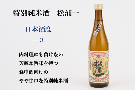 TheSAGA認定酒 特別純米酒おまかせ2本セット 【佐賀県産 佐賀認定酒 店主 こだわり ギフト 贈答 プレゼント】(H072190)