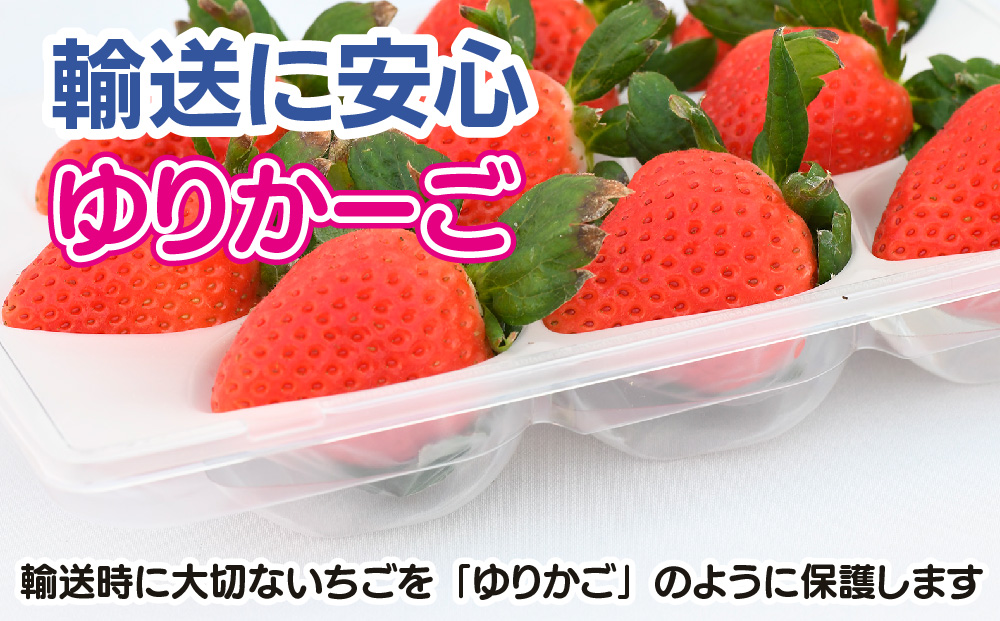 【農家直送】さがほのか220g×4パック【いちご 苺 イチゴ 果物 フルーツ スイーツ デザート ふるさと納税】(H117102)