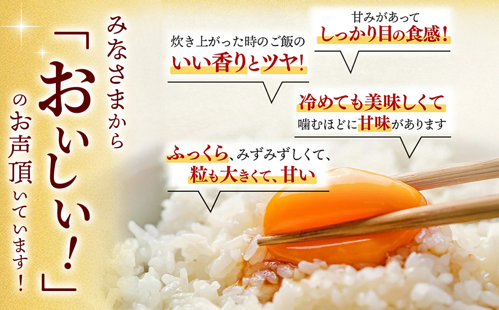 【令和7年産】さがびより 精米 4kg(2kg×2袋)【特A受賞米 米 4kg×2袋 小分け お米 コメ こめ 国産 美味しい ブランド米 人気 ランキング 増田米穀】(H015222)