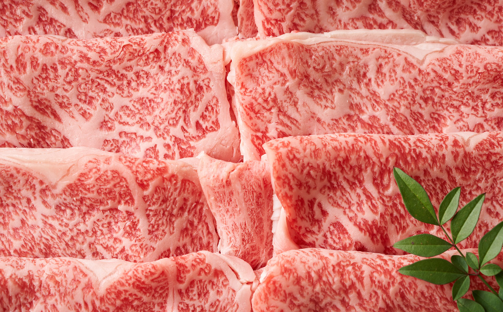 【6か月定期便】艶さし！【A4〜A5】佐賀牛しゃぶしゃぶすき焼き用(ロース肉・肩バラ・モモ肉) 1kg(500g×2P)×6回【肉 牛肉 ブランド牛 黒毛和牛 ふるさと納税】(H112304)