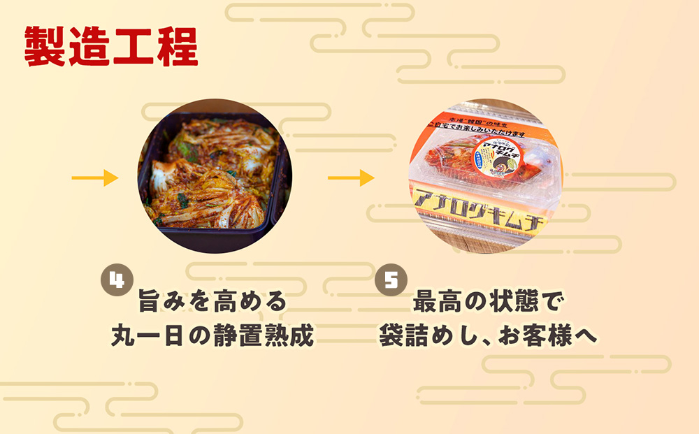 【12カ月定期便】発酵旨味の大根カクテキキムチ(500g×2パック)【熟成 秘伝 カクテキ 発酵 本格 ご飯のお供 国産大根 旨辛キムチ 発酵食品 秘伝タレ】(H104229)