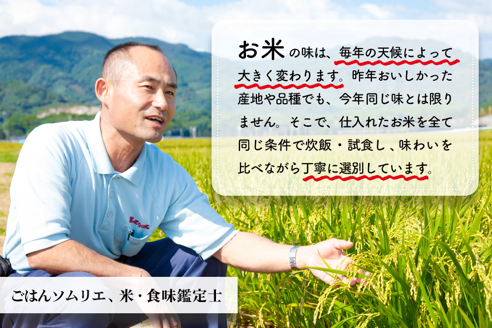 【令和7年産】ごはんソムリエが厳選 無洗米 さがびより 5kg【神埼市産 米 お米 無洗米 精米 白米 5kg さがびより ブランド米 食味鑑定士】(H063146)
