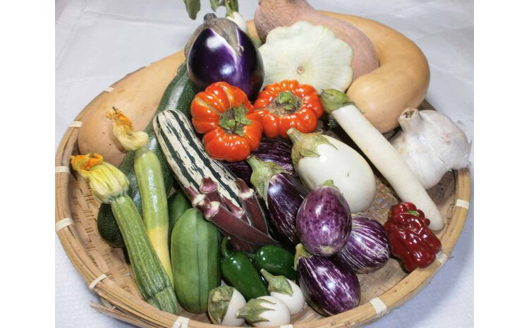 イタリア野菜セットレギュラー 10品 【有機野菜 おまかせ野菜セット イタリア野菜 西洋野菜】(H078148)