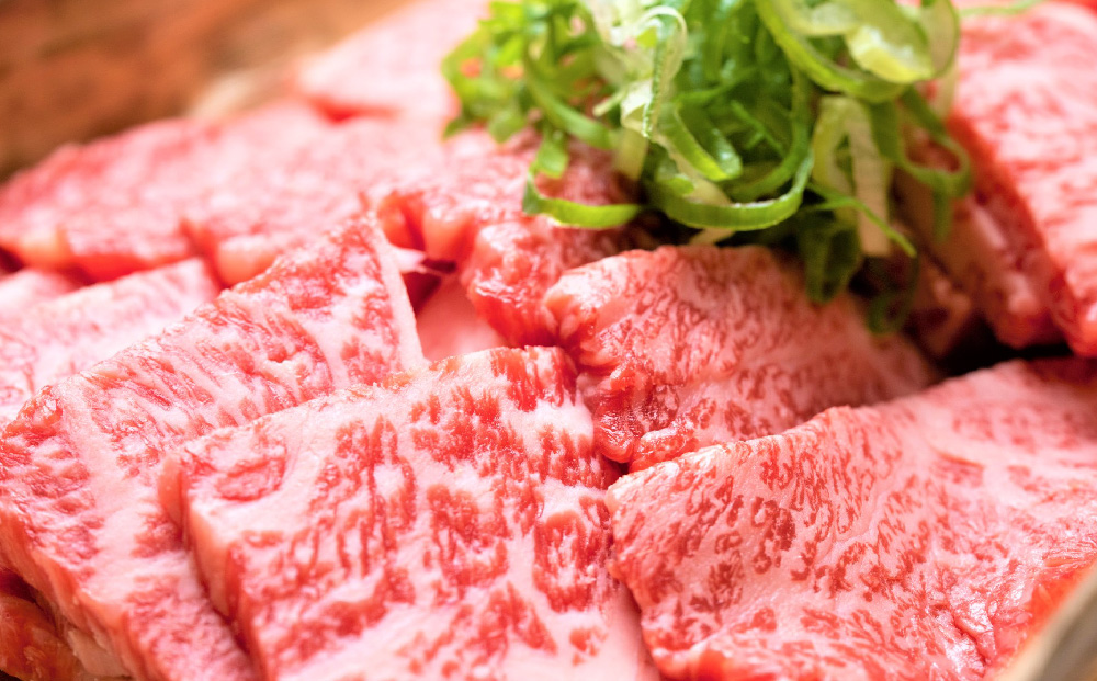 【先行受付 R6年12月中旬より発送】艶さし！【A4～A5】佐賀牛焼肉用 1kg(500g×2P)【肉 牛肉 ブランド牛 黒毛和牛 ふるさと納税】(H112112)