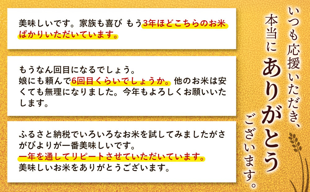【令和7年産】さがびより 精米 4kg(2kg×2袋)【特A受賞米 米 4kg×2袋 小分け お米 コメ こめ 国産 美味しい ブランド米 人気 ランキング 増田米穀】(H015222)