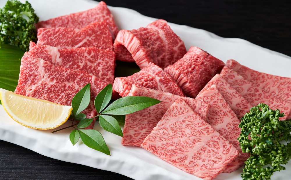 【先行受付 R6年12月中旬より発送】艶さし！【A4～A5】佐賀牛焼肉用 1kg(500g×2P)【肉 牛肉 ブランド牛 黒毛和牛 ふるさと納税】(H112112)