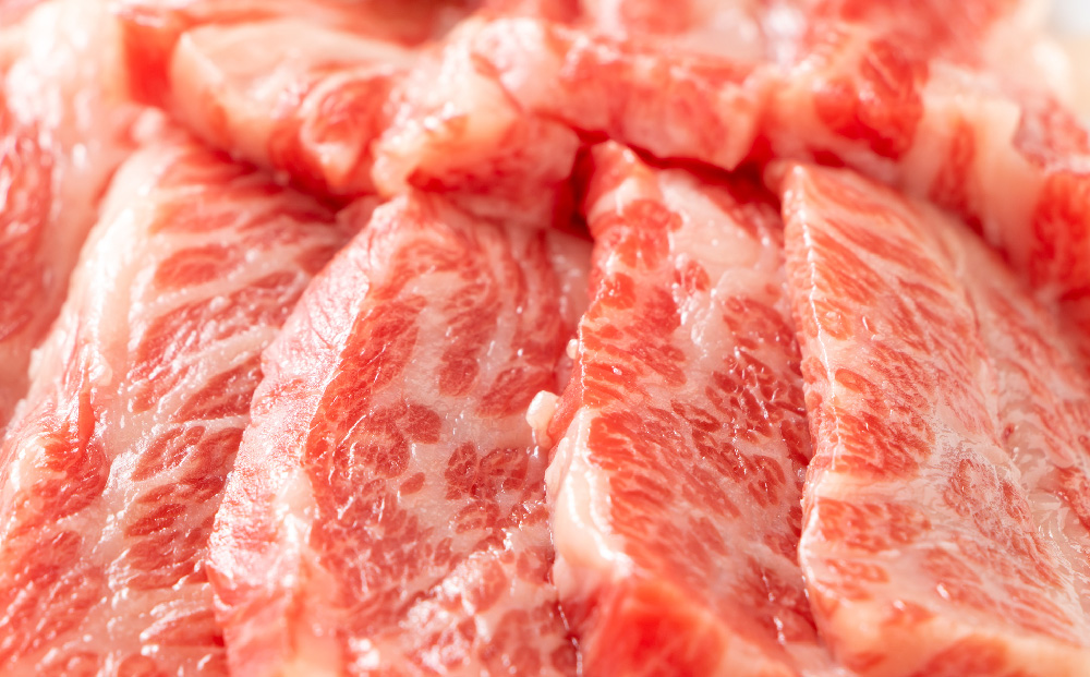 【3か月定期便】訳あり！艶さし！【A4〜A5】佐賀牛焼肉切り落とし(肩ロース・バラ) 1kg(500g×2P)×3回【肉 牛肉 ブランド牛 黒毛和牛 ふるさと納税】(H112241)