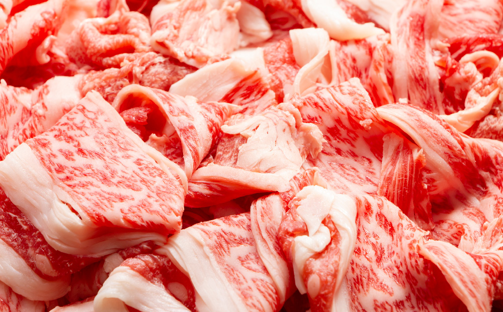 【12か月定期便】艶さし！【A4〜A5】佐賀牛切り落とし 500g×12回【肉 牛肉 ブランド牛 黒毛和牛 ふるさと納税】(H112311)