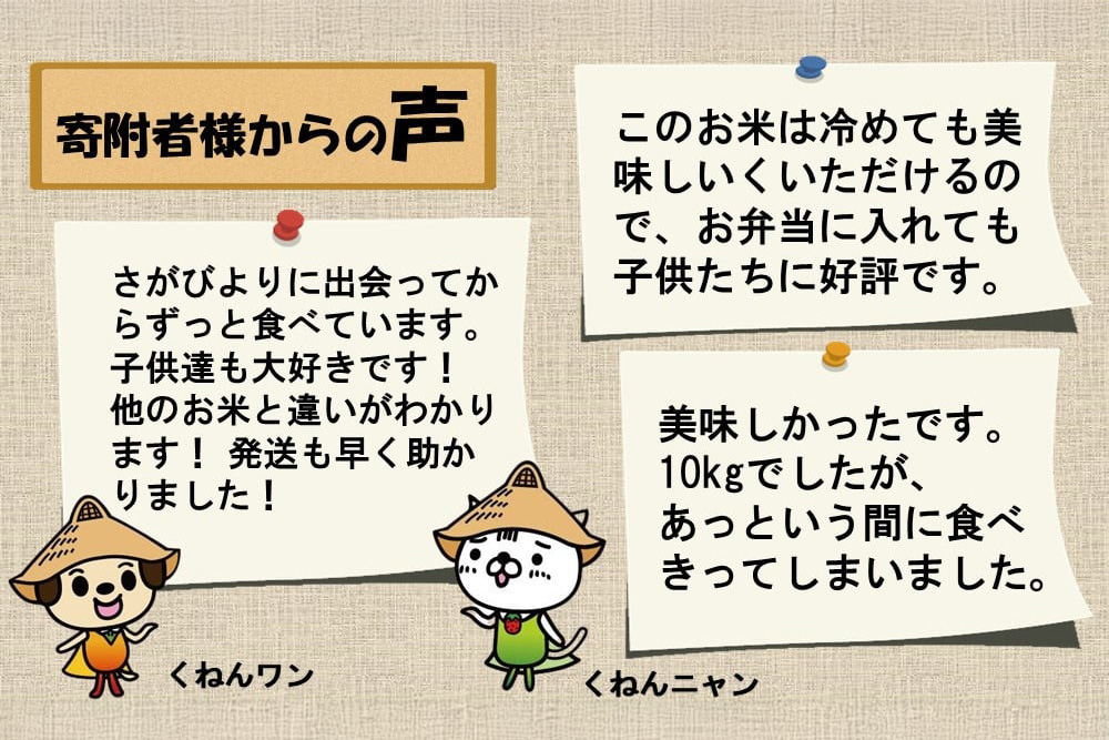 【令和7年産 3ヶ月定期便】ごはんソムリエが厳選 無洗米 さがびより 10kg【神埼市産 米 お米 無洗米 白米 10kg 5kg×2 3回 さがびより ブランド米 食味鑑定士】(H063149)