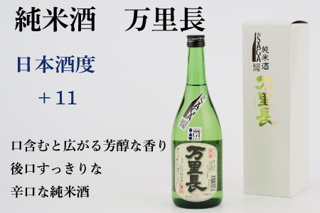 TheSAGA認定酒 純米酒おまかせ2本 定期便6回 【佐賀県産 佐賀認定酒 こだわり ギフト 贈答 プレゼント】(H072187)