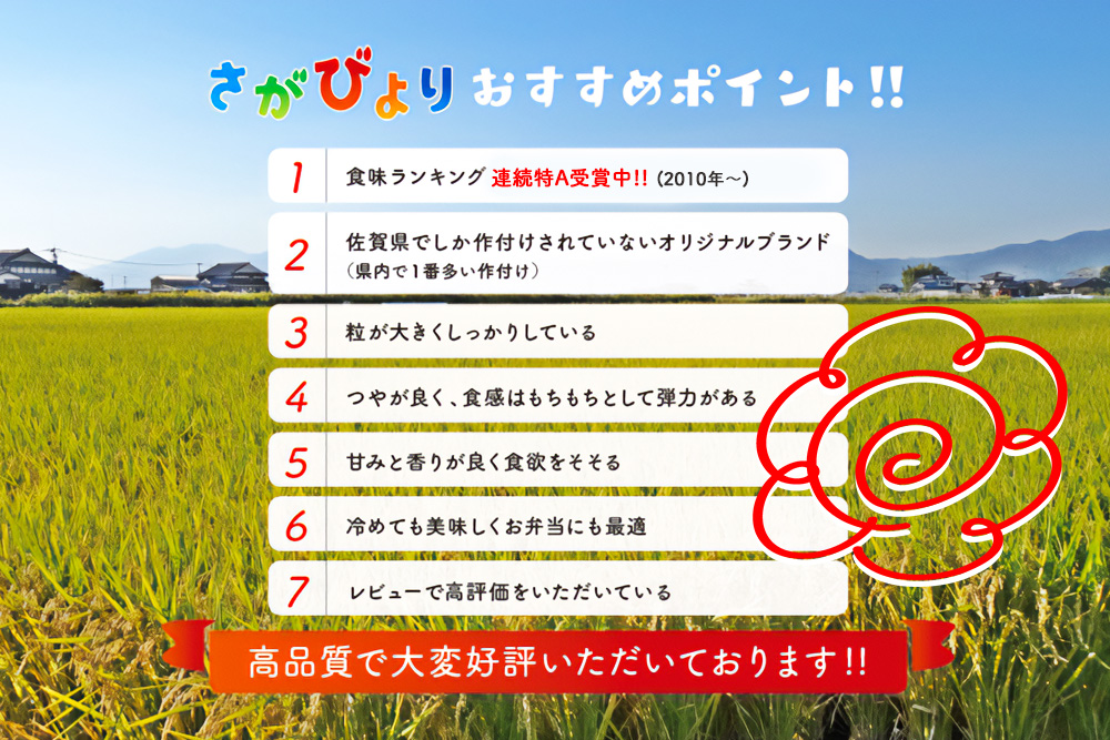 【令和7年産 3ヶ月定期便】ごはんソムリエが厳選 白米 さがびより 10kg【神埼市産 米 お米 精米 白米 10kg 5kg×2 3回 さがびより ブランド米 食味鑑定士】(H063148)