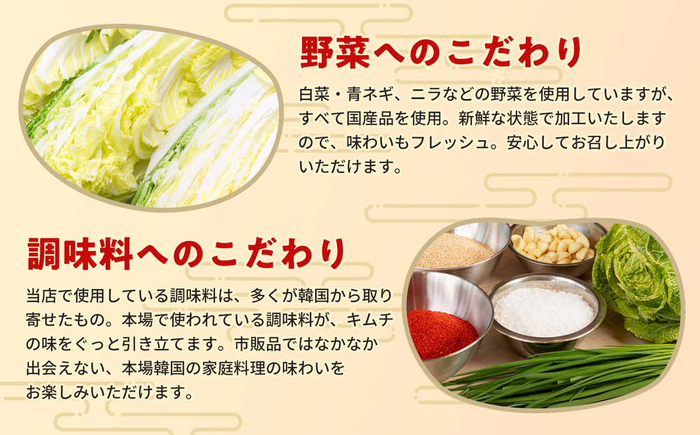 【2カ月定期便】熟成秘伝のてづくり白菜キムチ(100g×2パック)【手作り 国産 熟成キムチ 人気 旨辛 発酵食品 ご飯のお供 ピリ辛 九州産 ご当地 おつまみ 熟成タレ】(H104250)