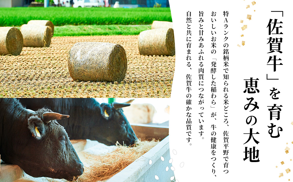 佐賀牛 赤身ブロック350g×2パック計700g サーロインステーキ200g×3枚計600g【佐賀牛 赤身ブロック サーロイン ステーキ 牧場直送 ローストビーフ 高級部位 和牛 艶さし 霜降り】(H122102)