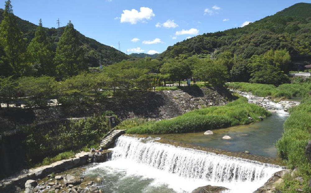 【定期便12回】神埼産 天然はちみつ(計6.96kg)【国産 神埼産 おすすめ 無添加 贈り物 定期便】(H049132)