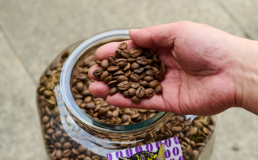 ジャコウネコ珈琲　コピ・ルアク 100g×3袋 合計300g【3回定期便】【最高級豆 幻のコーヒー】(H070106)