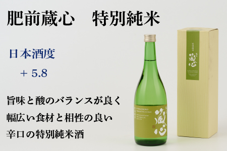 TheSAGA認定酒 特別純米酒おまかせ2本 定期便6回 【佐賀県産 佐賀認定酒 こだわり ギフト 贈答 プレゼント】(H072149)